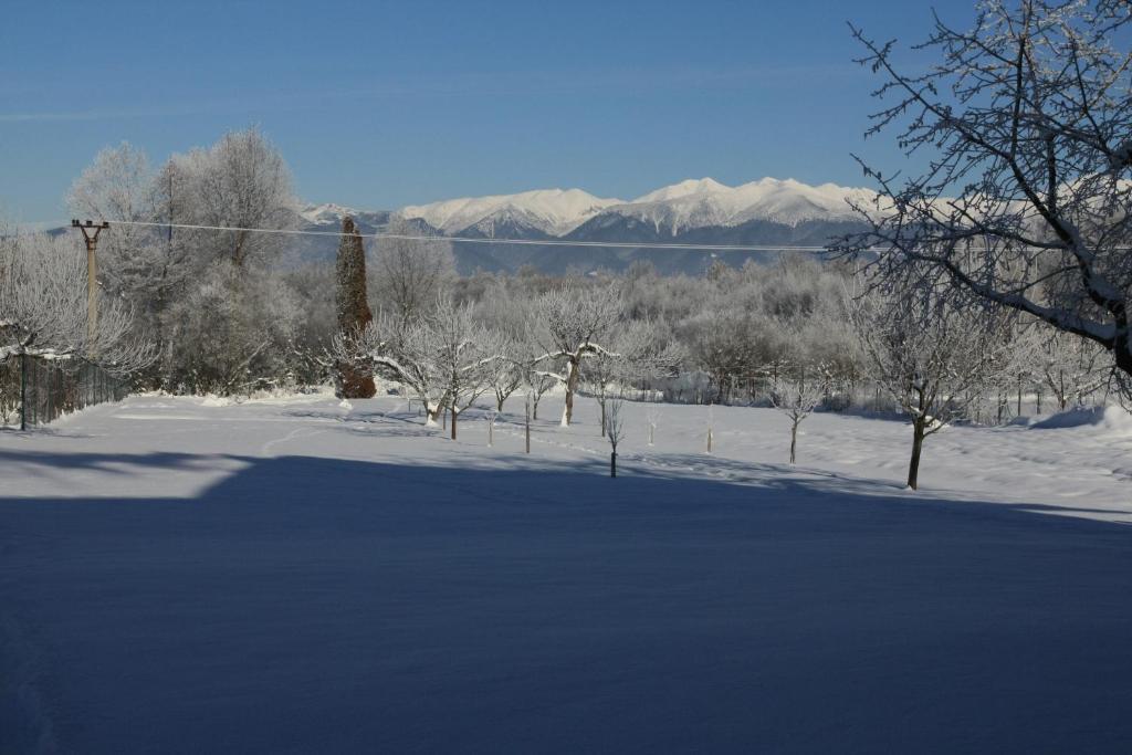 Skipension Jasna Pavčina Lehota Екстериор снимка